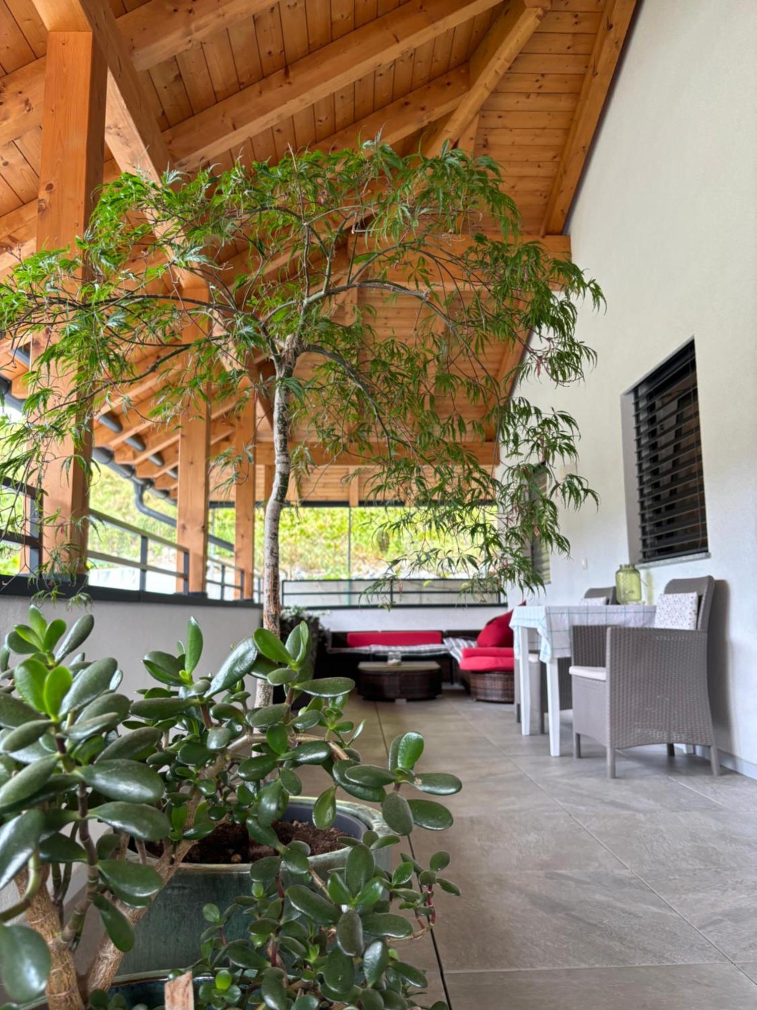 Apartment Zimat Chienes Luaran gambar
